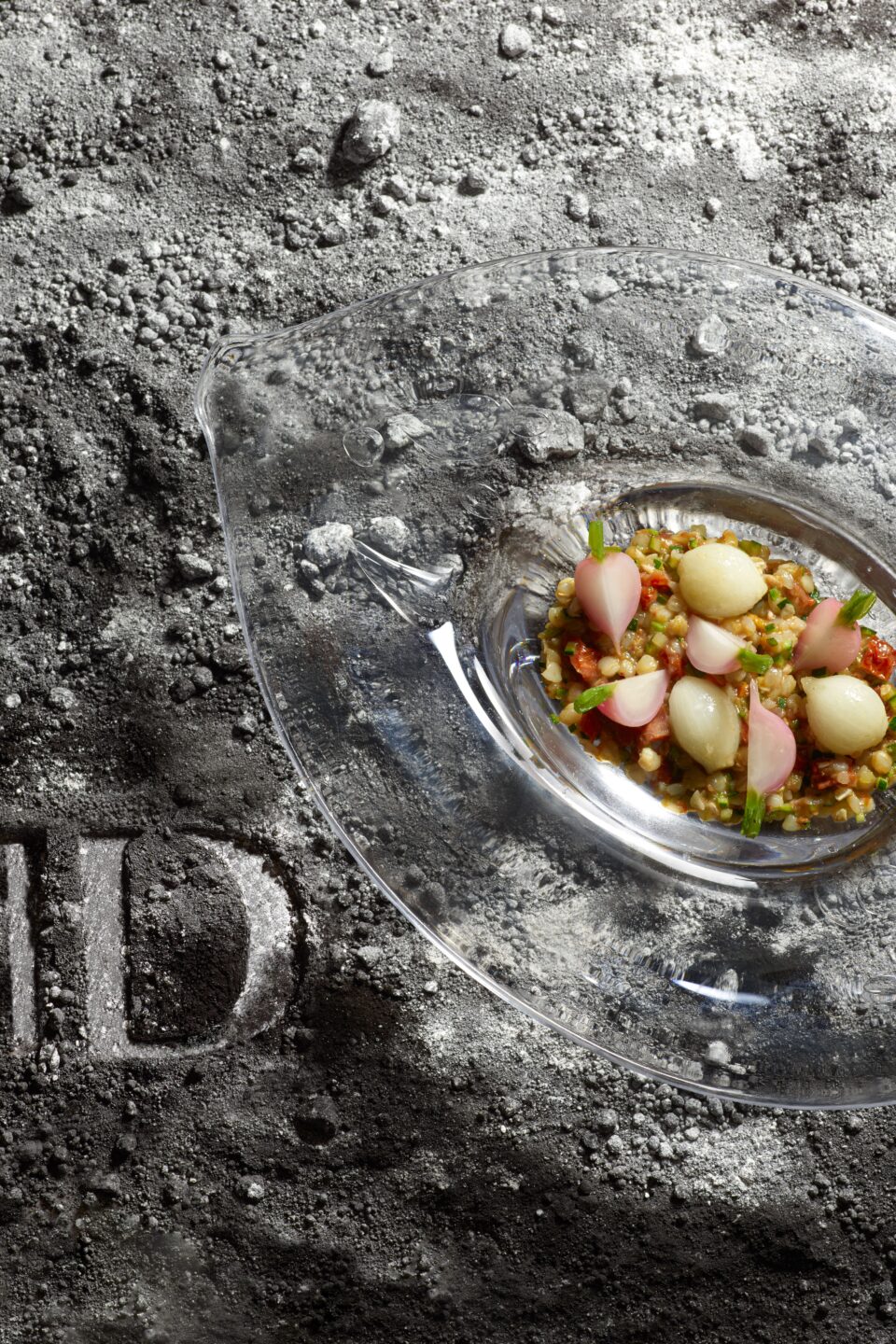 Présentation d'un plat réalisé par DUCASSE Conseil pour le CNES