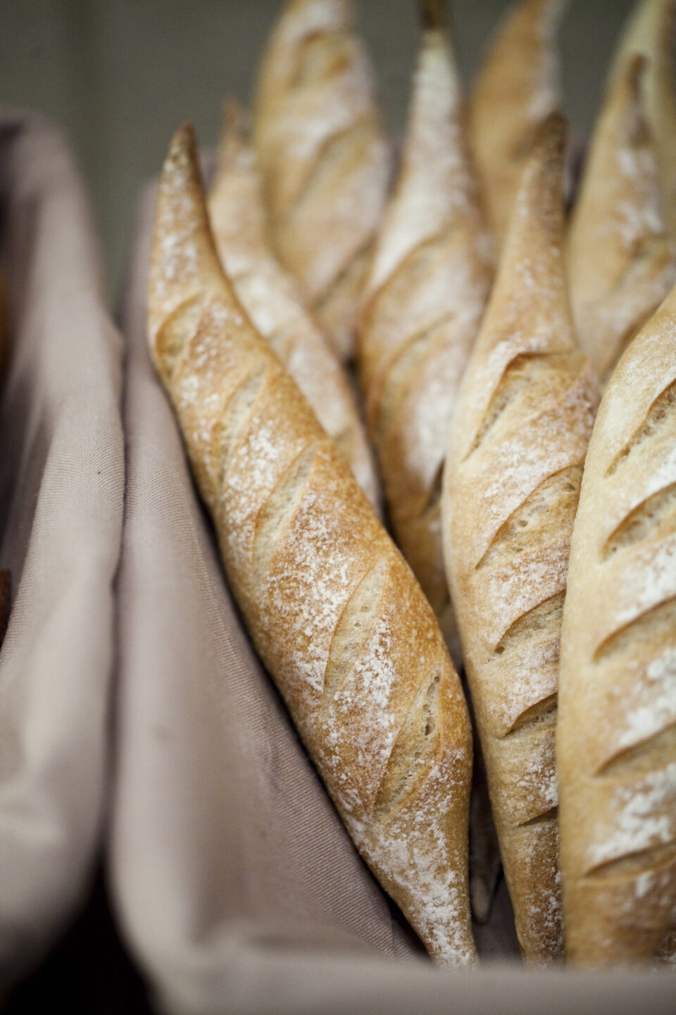 IDAM©pierremonetta_MG_8221